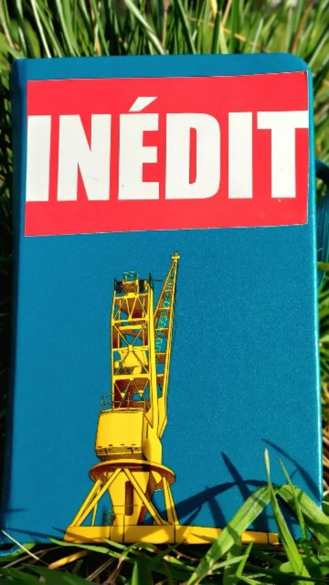 "Inédit" ✂️ "Novel'
#collagedudimanche #papercollage #artbook 
Plus de trucs collants sur bobie.fr 
More sticky stuff on bobie.fr